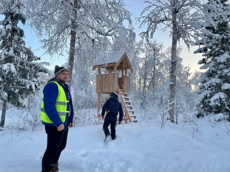 Bardufoss: Wild Moose Safari with Lunch - Returning and Reflecting