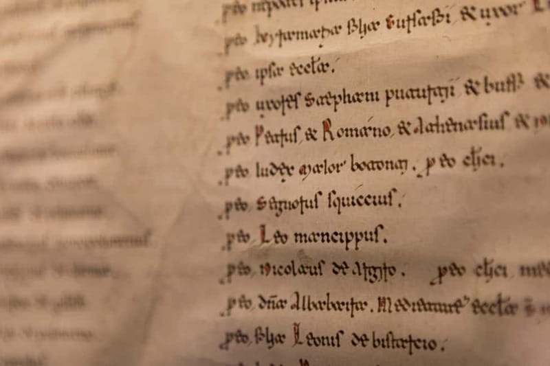 Bari: Basilica of Saint Nicholas, Museum, Focaccia Tasting - Tasting Local Flavor: Focaccia at the Museum Bistrot