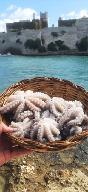 Bari: Fishing experience aboard an authentic fishing boat - Key points / Takeaways