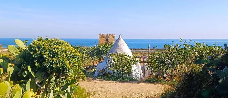 Bari: Tour Polignano Alberobello Matera (Private or Shared) - Introduction: Discover Puglia’s Charm in a Day