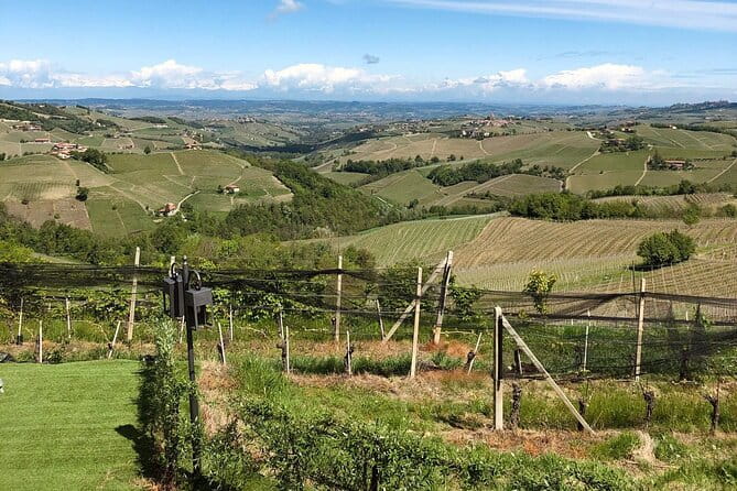 Barolo & CO: visit and tasting - Descending into the Barricaia: The Heart of Aging