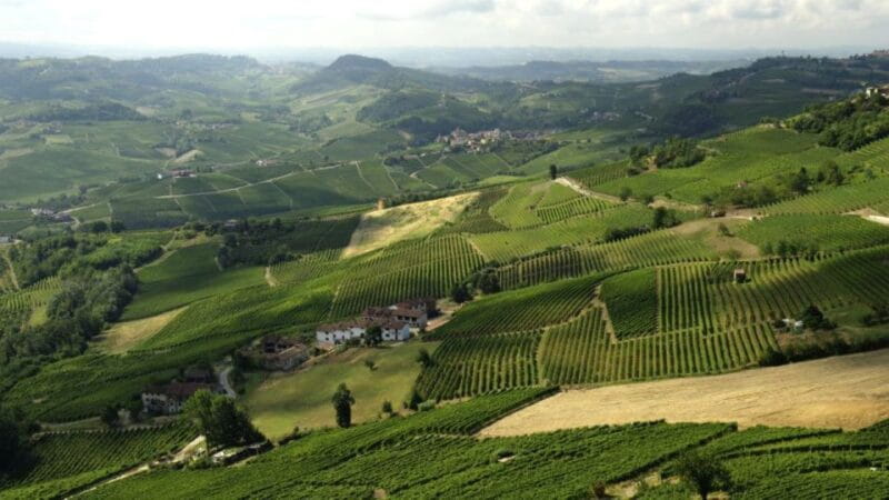 Barolo: Guided Scenic E-Bike Tour with Wine Tasting - Who This Tour Suits Best