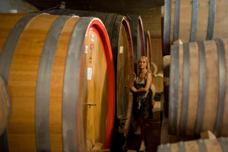 BAROLO: GUIDED VISIT TO THE WINERY AND TASTING WITH THE PRODUCER - Exploring Barolo Through the Eyes of the Producer: A Deep Dive into Virna Borgognos Guided Tour and Tasting