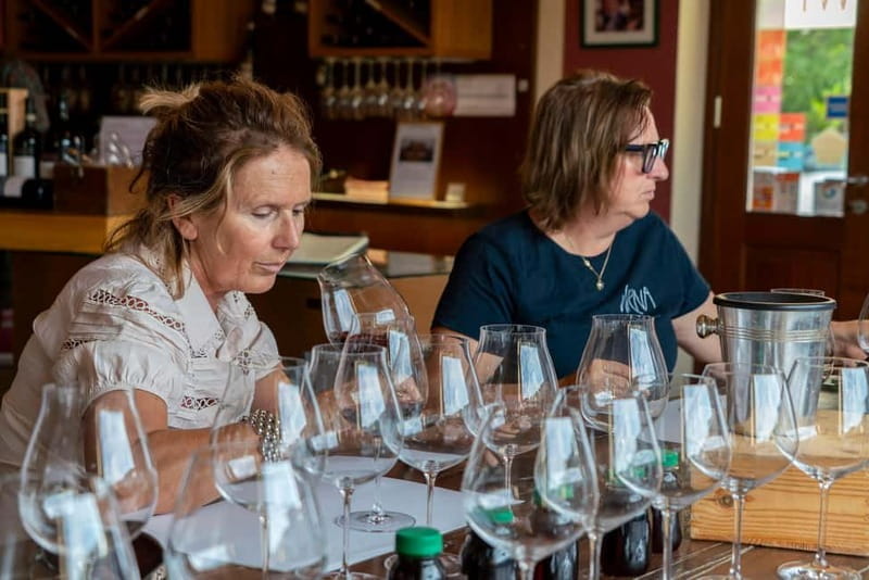 BAROLO: GUIDED VISIT TO THE WINERY AND TASTING WITH THE PRODUCER - Key Points / Takeaways