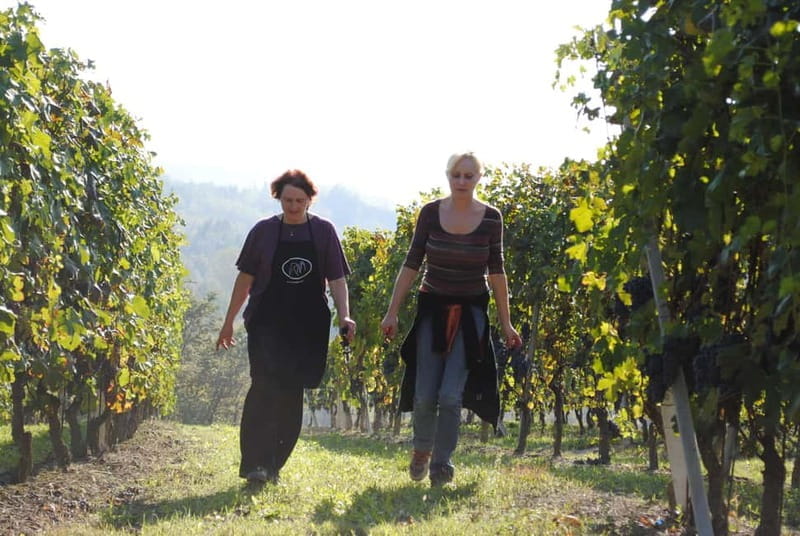 BAROLO: GUIDED VISIT TO THE WINERY AND TASTING WITH THE PRODUCER - The Winemaking Process: From Grape to Glass