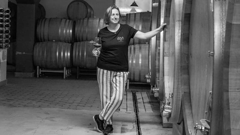 BAROLO: GUIDED VISIT TO THE WINERY AND TASTING WITH THE PRODUCER - Who Should Consider This Tour?