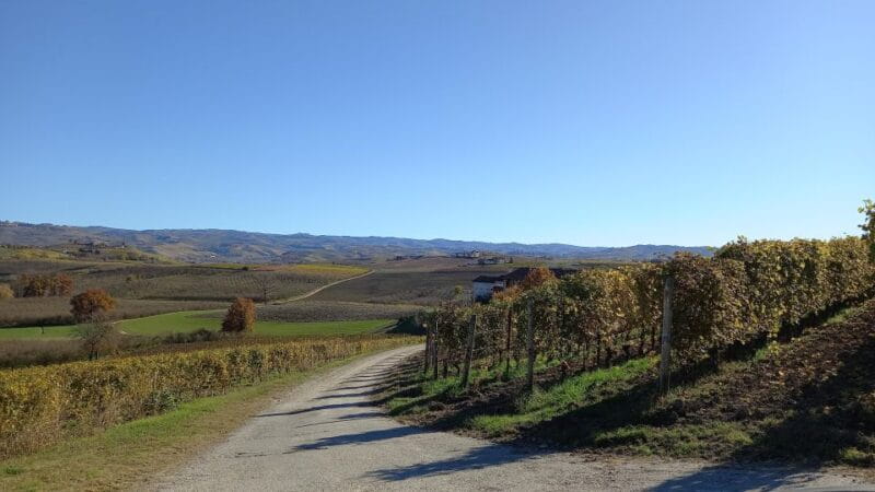 Barolo Langhe Wine Tour - Key Points / Takeaways