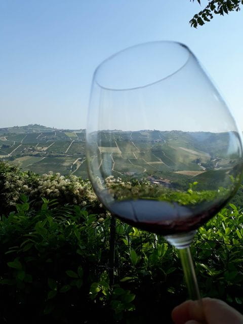 Barolo Langhe Wine Tour - Who Will Love This Tour