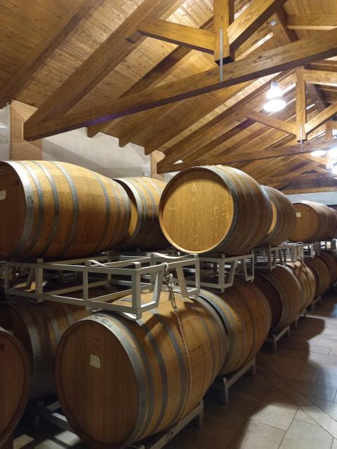 Barolo Langhe Wine Tour - Final Thoughts