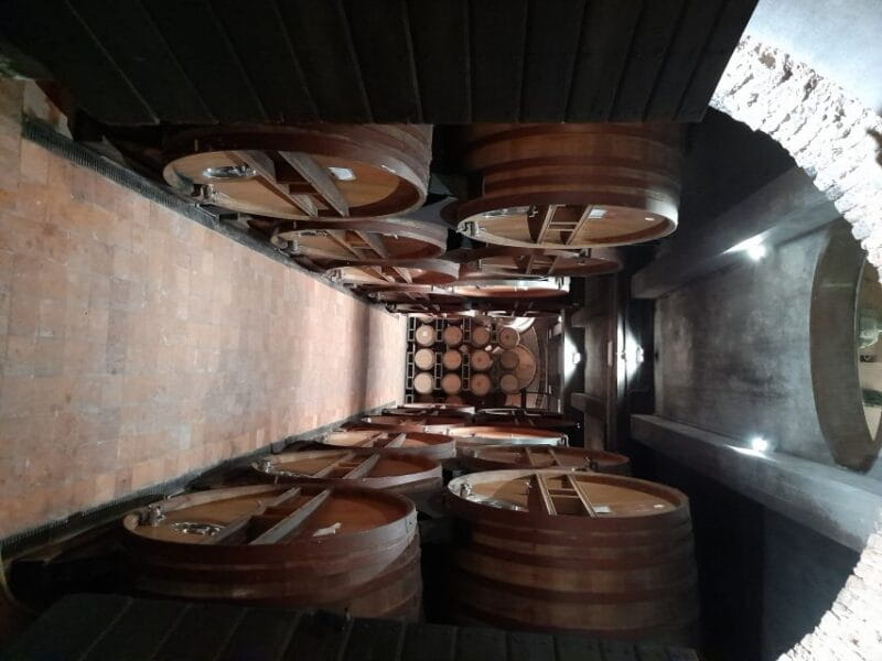 Barolo: Truffle Hunting and Wine Tasting - Key Points / Takeaways