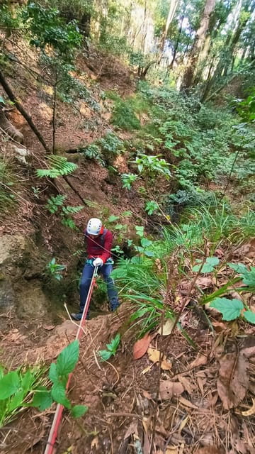 Barranquismo Tenerife: Canyoning Adventure - Key points / Takeaways