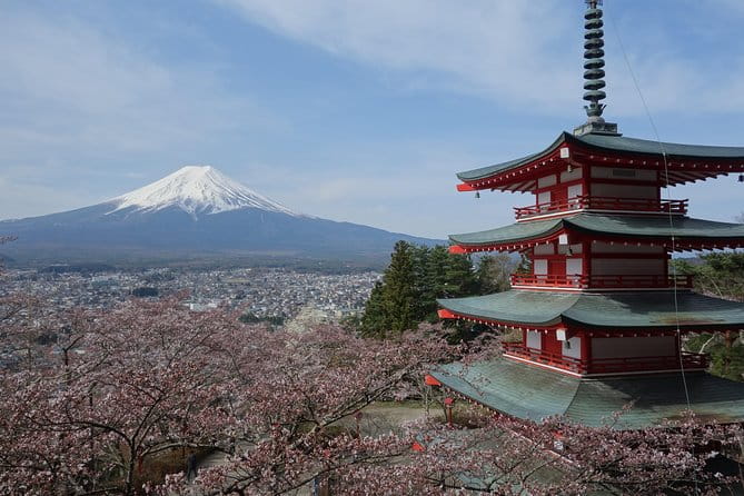 Barrier-Free Private Mt. Fuji Tour for Wheelchair Users - Accessibility Features