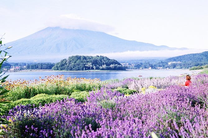 Barrier-Free Private Mt. Fuji Tour for Wheelchair Users - Attractions and Experiences