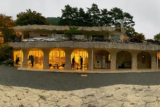 Barrier-Free Private Mt. Fuji Tour for Wheelchair Users - Traveler Reviews