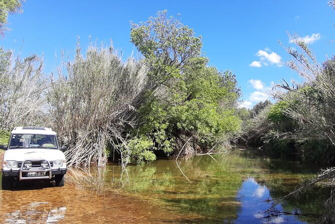 Barrocal Adventure - 4 hours - Making the Most of Your Algarve Adventure