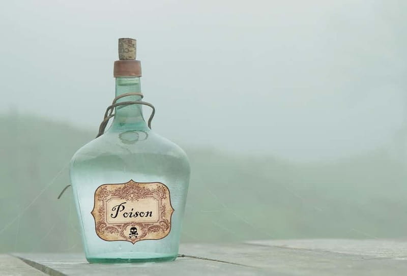 Bathers, doctors, pharmacists a healing experience tour through Ludwigsburg. - Key Points/Takeaways