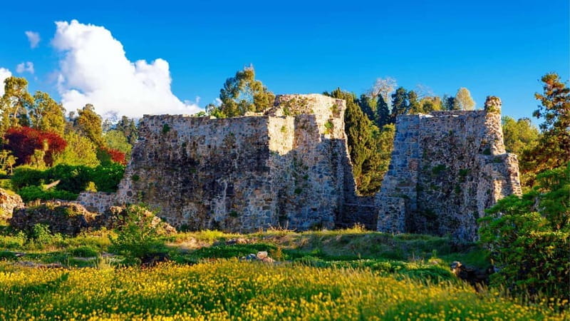 Batumi City - Botanical Garden - Petra Fortress from Kutaisi - A Walk Through History at Petra Fortress