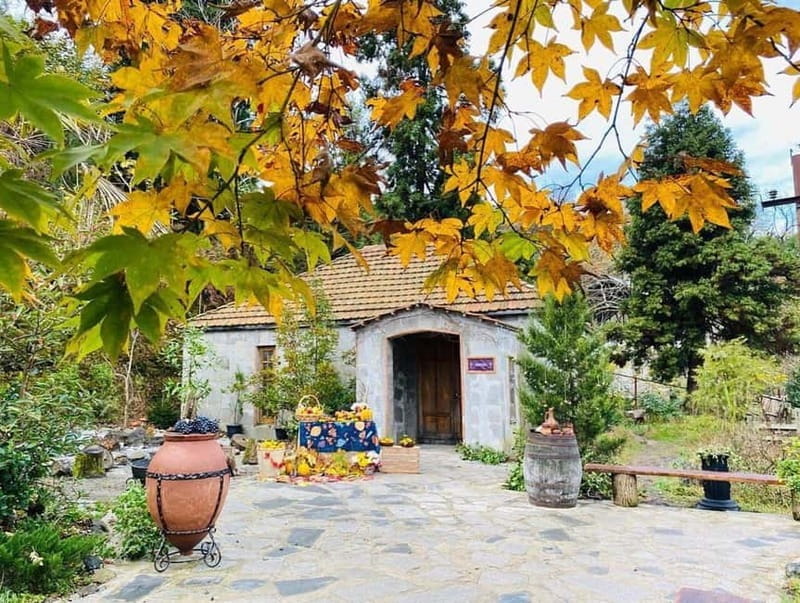 Batumi: Exploring Botanical Garden + Family Wine Tasting - Final Thoughts: Who Should Sign Up?