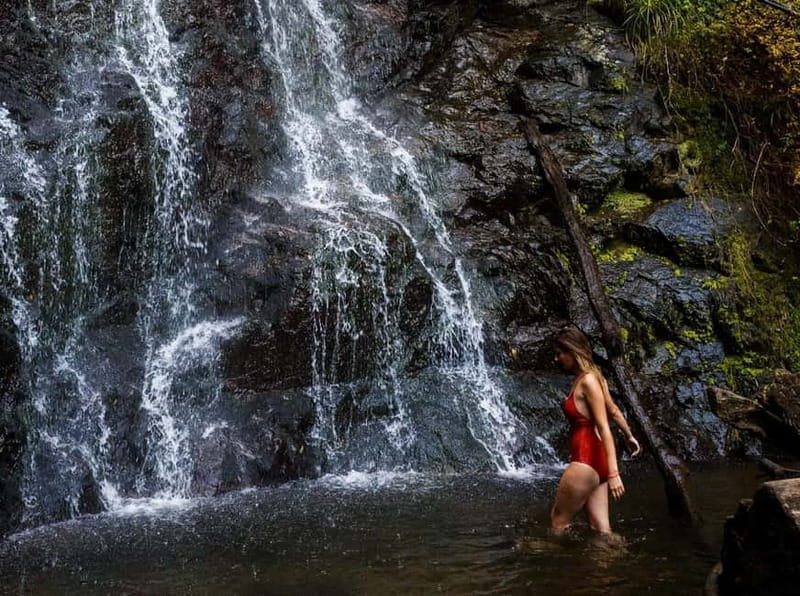 Batumi: Makhuntsti, Machakheta, & Mirveti Tour with Lunch - Key Points / Takeaways