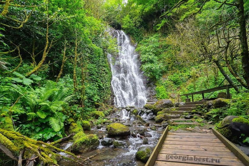 Batumi: Mountain Adjara Tour & Traditional Georgian Feast - Final Thoughts: Who Is This Tour Best For?