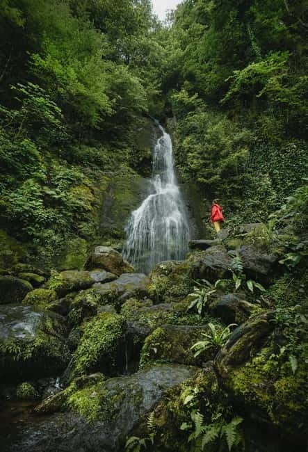 Batumi to Mtirala National park - Half day hiking group tour - The Main Event: A 3 km Hike to Waterfalls