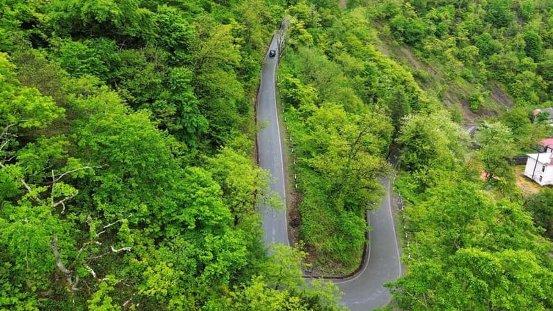 Batumi: Wine & Dine Tour To Waterfalls - Mountainous Adjara - Food, Culture, and Celebratory Toasts