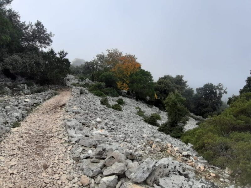 Baunei: Cala Goloritzè Trekking Tour with A Guide - Who Should Consider This Tour?