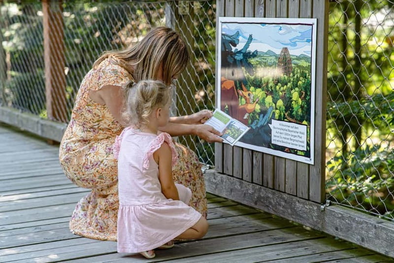 Bavarian Forest: Treetop Walk & Egg Tower Experience - Bavarian Forest: Treetop Walk & Egg Tower Experience