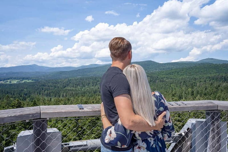 Bavarian Forest: Treetop Walk & Egg Tower Experience - Key points / Takeaways