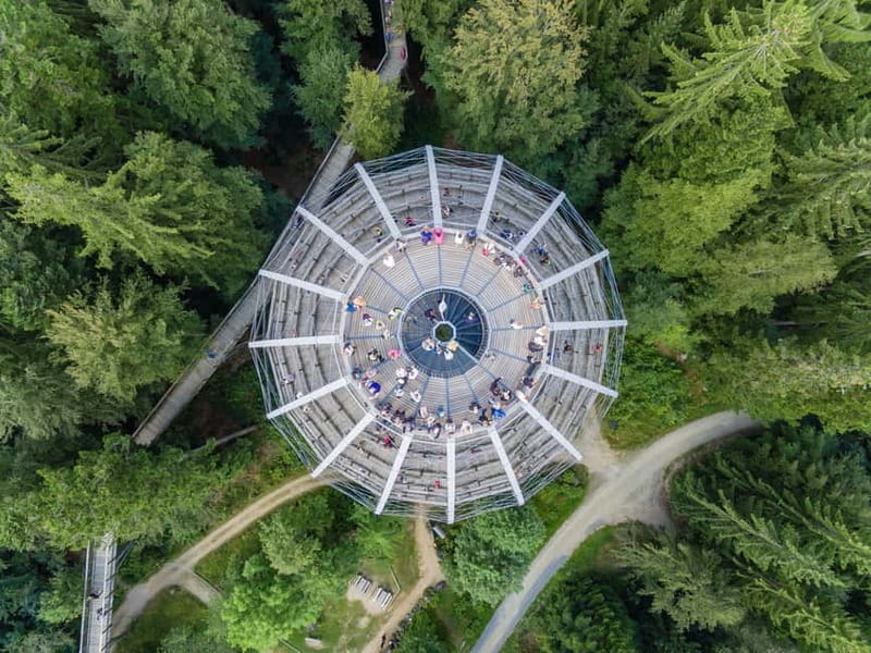Bavarian Forest: Treetop Walk & Egg Tower Experience - The Egg Tower: A Unique Architectural Highlight