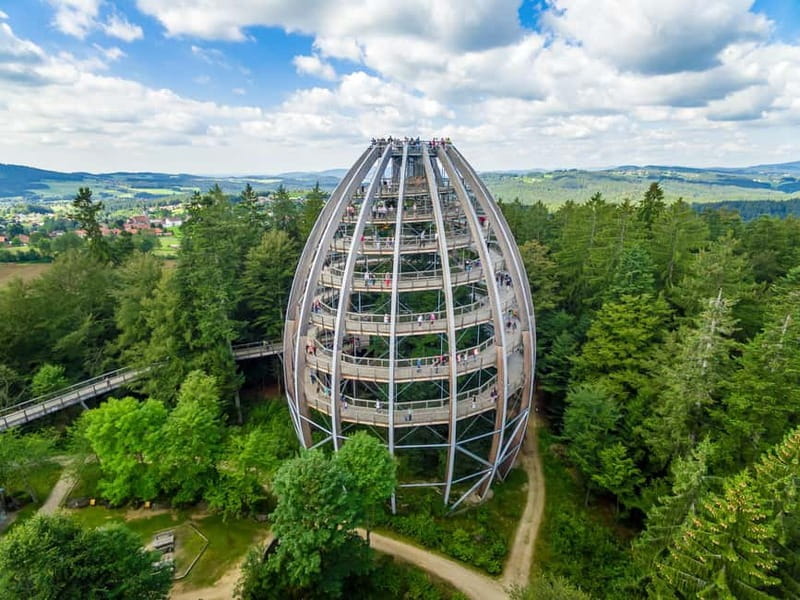 Bavarian Forest: Treetop Walk & Egg Tower Experience - What to Expect at the Top