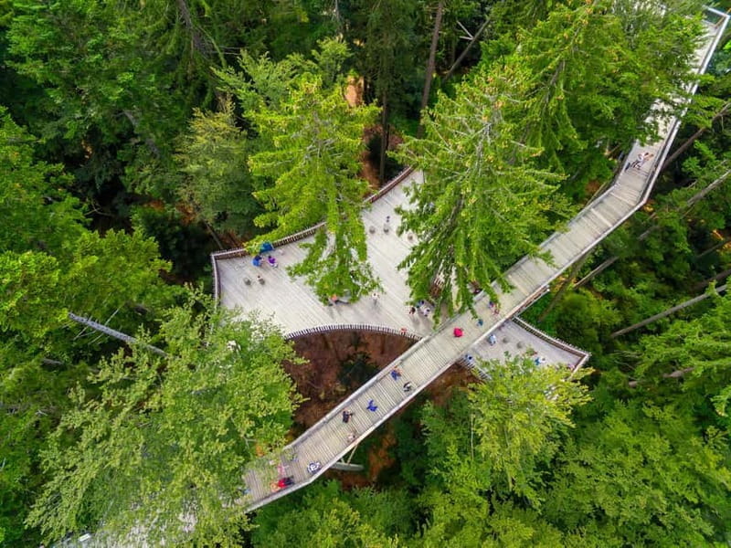 Bavarian Forest: Treetop Walk & Egg Tower Experience - Practical Details and Tips