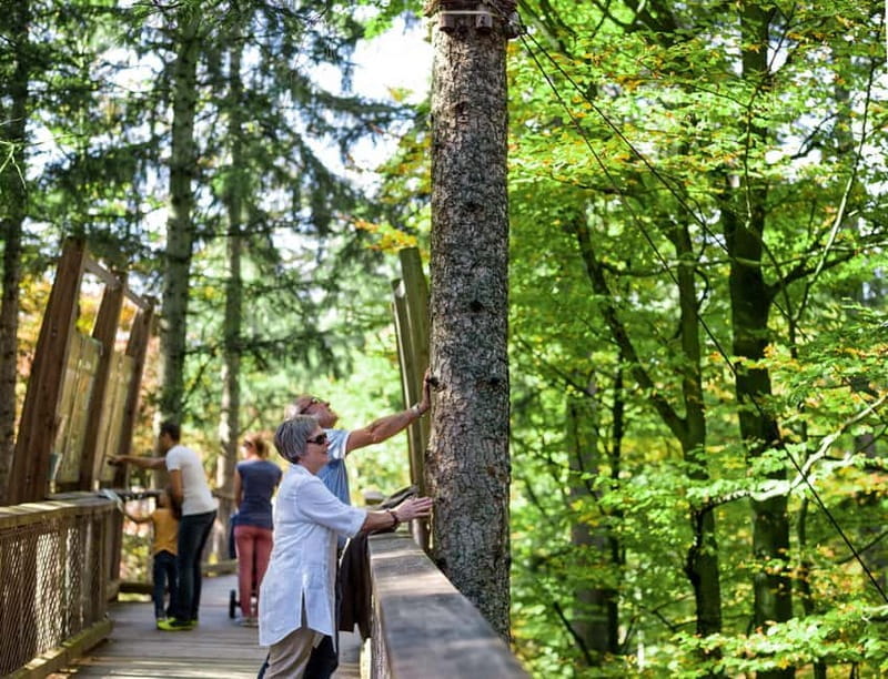 Bavarian Forest: Treetop Walk & Egg Tower Experience - Who Will Love This Experience?