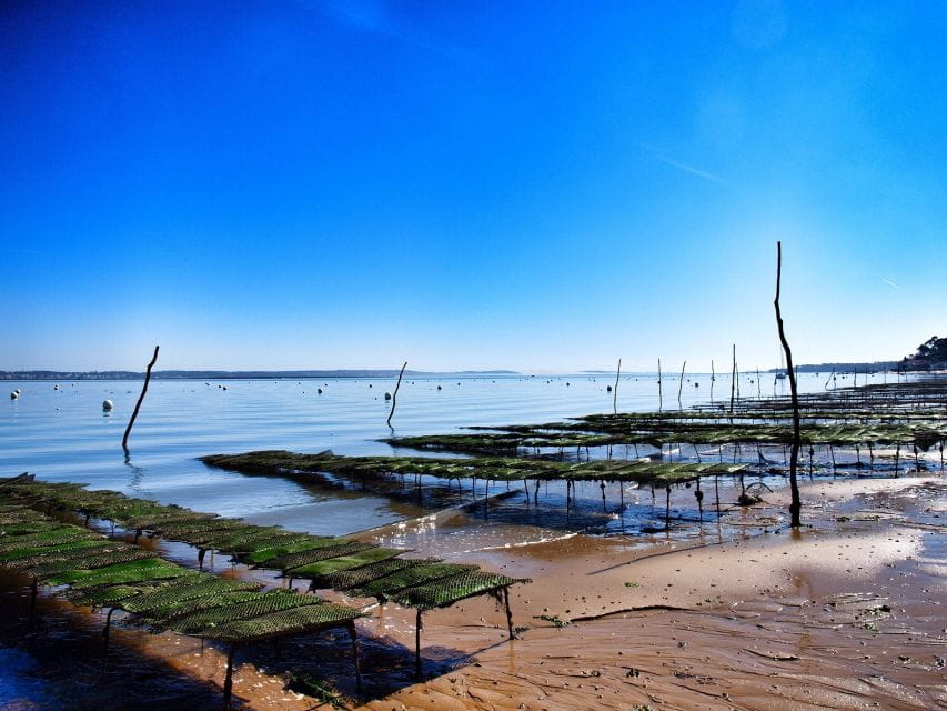 Bay of Arcachon: Guided Food Tour - Anecdotes and Knowledge