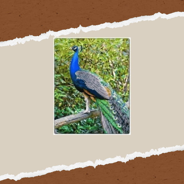 Be A Farmer for A Day in Arevitis Farm! - Logistical Details That Matter