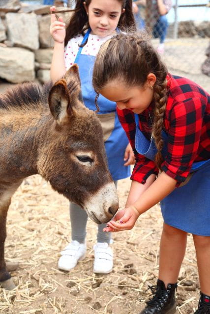 Be a Farmer for the Day at La Jaira De Ana - Things To Know