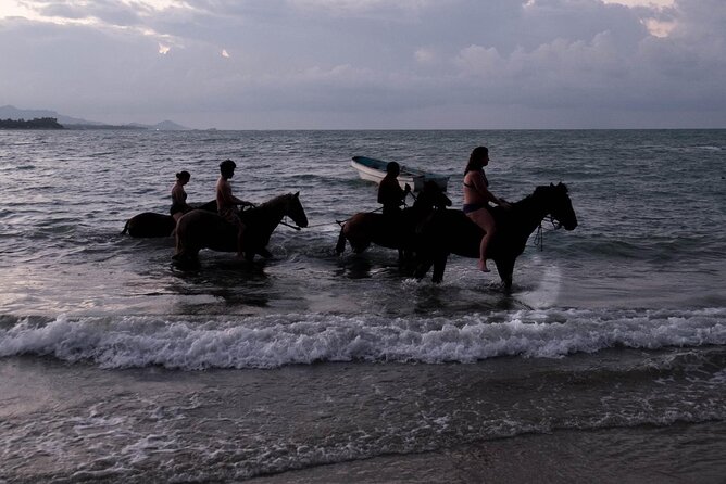 Beach Horse Ride and Countryside Amber Cove & Taino Bay - Tour Details