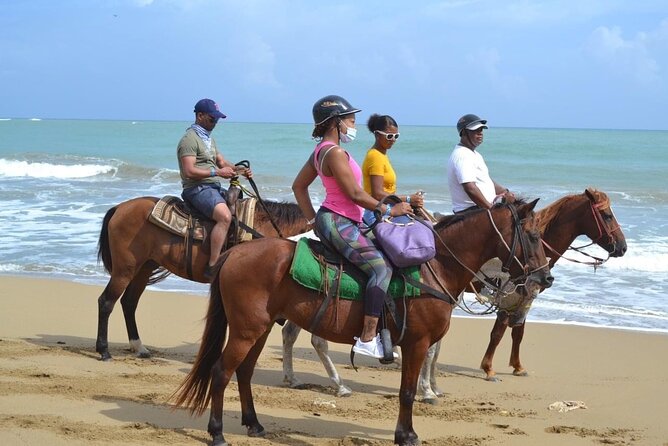 Beach Horse Ride and Countryside Amber Cove & Taino Bay - Guest Reviews