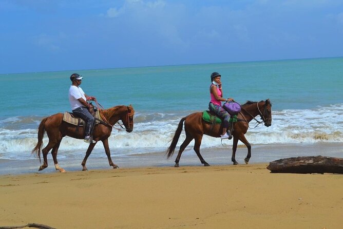 Beach Horse Ride and Countryside Amber Cove & Taino Bay - Booking and Cancellation