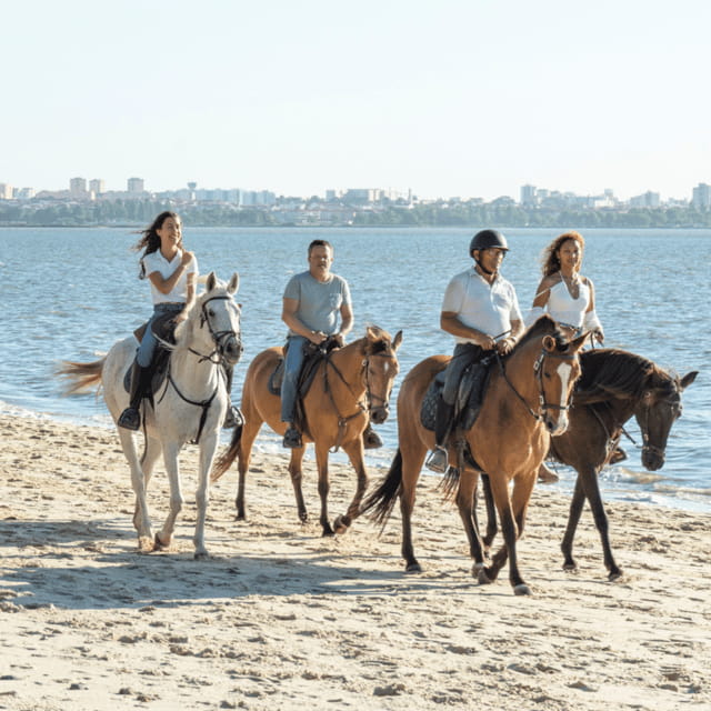 Beach Horseback Riding in GROUP + Photo Report - PDT - Entering the World of Beach Horseback Riding Near Lisbon