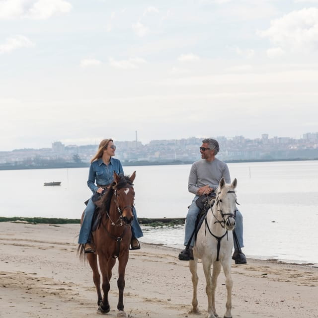 Beach Horseback Riding in GROUP + Photo Report - PDT - The Experience Provider and Additional Details