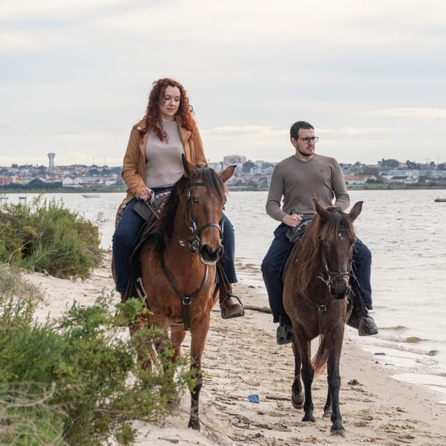 Beach Horseback Riding in GROUP + Photo Report - PDT - Who This Tour Suits Best