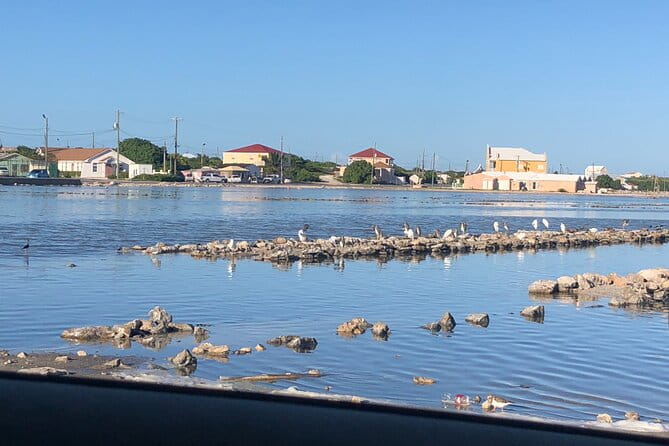 Beach Trail and Swim. Cockburn Town, Grand Turk, Turks and Caicos - Pickup and Confirmation
