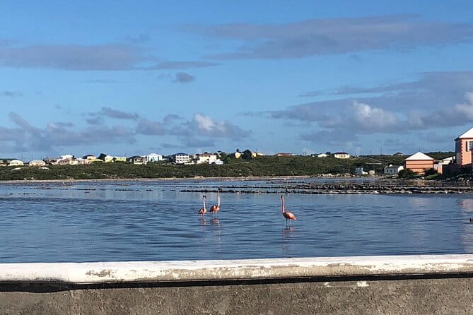 Beach Trail and Swim. Cockburn Town, Grand Turk, Turks and Caicos - Tour Policies