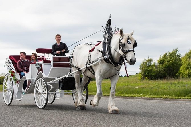 Beacon Hill Park Horse-Drawn Carriage Experience in Victoria - Additional Information