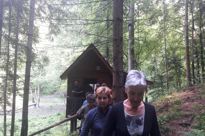 Bear Watching in the Wild From Brasov - Bear Hibernation and Tour Availability