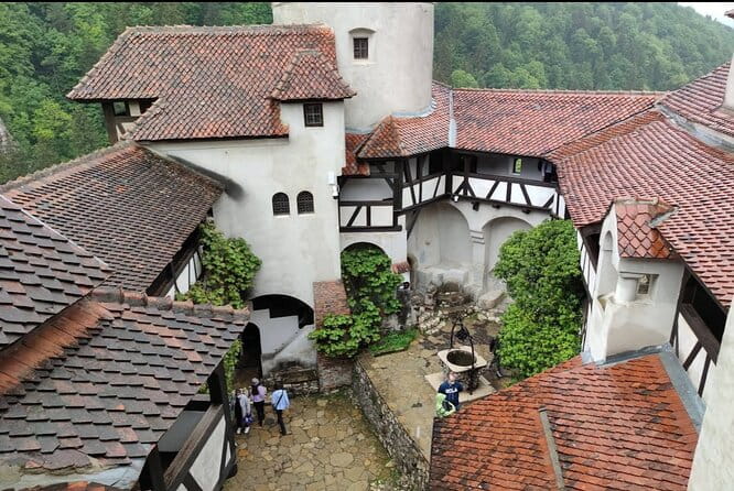 Bears Sanctuary, Dracula's Castle and Braov City - Private Tour - A Deep Dive into the Experience