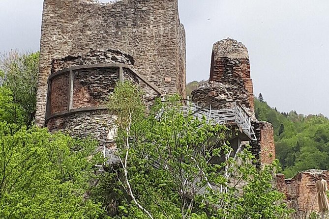 Bears Sanctuary, Draculas Castle, Brasov Day Trip Private Tour From Bucharest - Brasov Medieval Town
