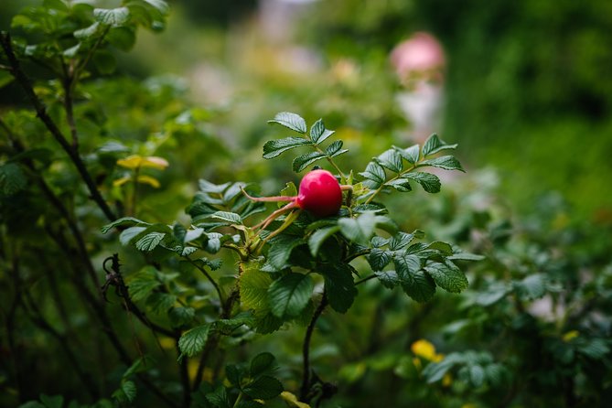 Beatrix Potters Half Day Lake District Tour Including Lake Cruise - Tour Inclusions and Logistics