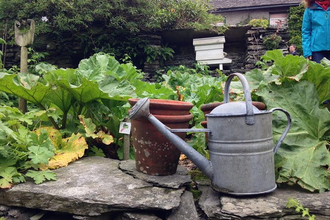 Beatrix Potter's Tour from Oxenholme Including Lake Cruise - What to Expect